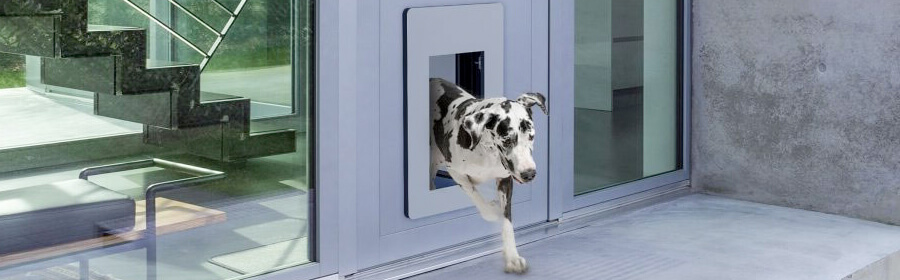 estaño consenso Brillar Accesos de seguridad para las mascotas de la casa | Roconsa